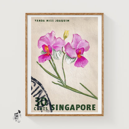 Vanda Miss Joaquim Orchid - vintage matchbox label print
