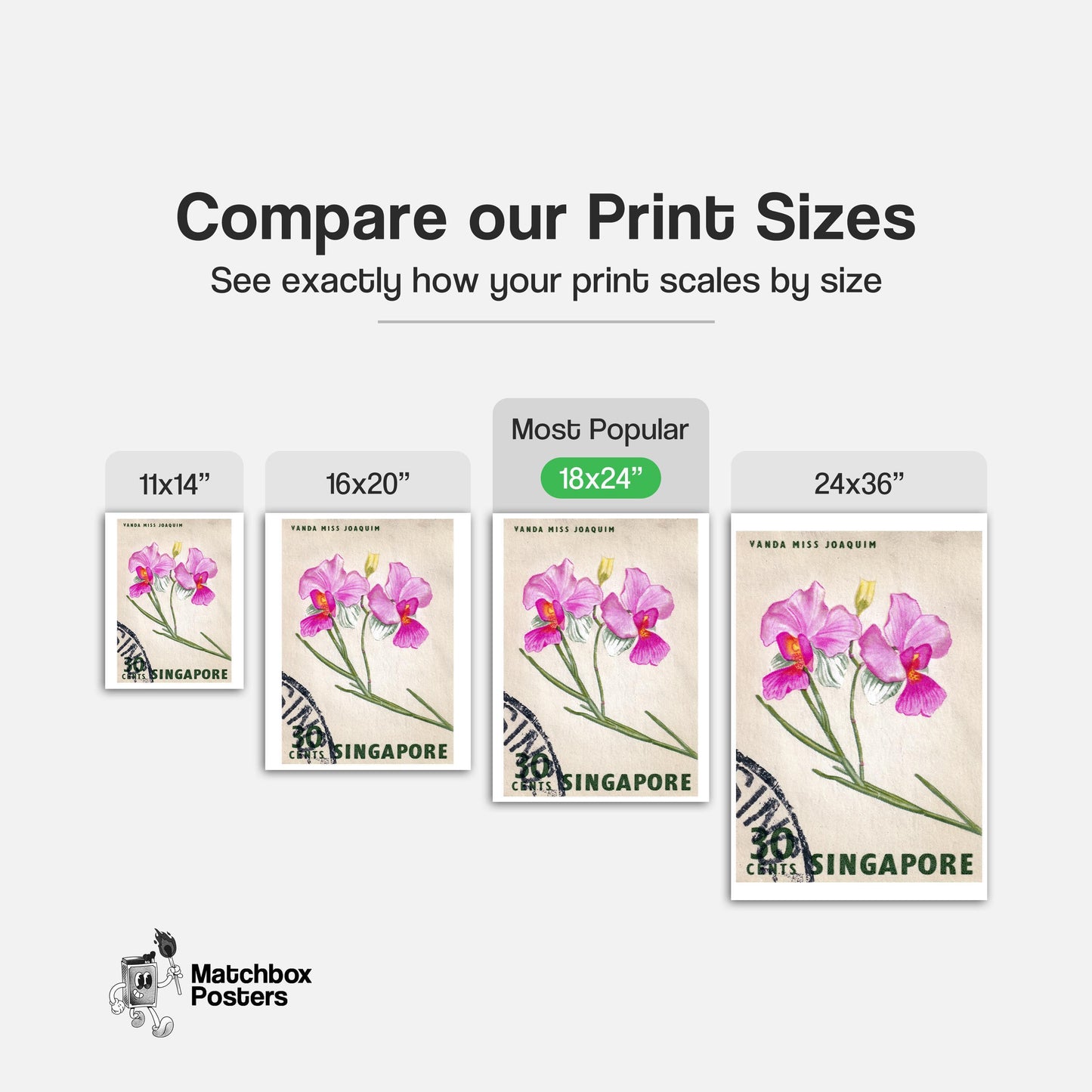 Vanda Miss Joaquim Orchid - vintage matchbox label print - gallery wall preview
