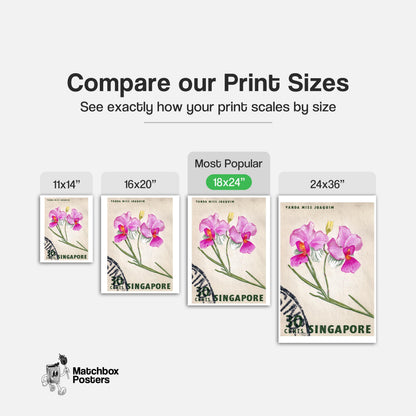 Vanda Miss Joaquim Orchid - vintage matchbox label print - gallery wall preview