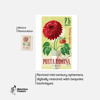 Red Dahlia Flower - vintage matchbox label print - framed wall art preview