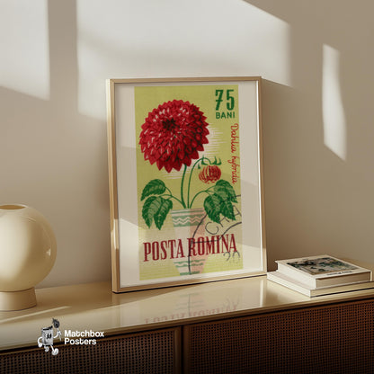 Red Dahlia Flower - vintage matchbox label print - size comparison