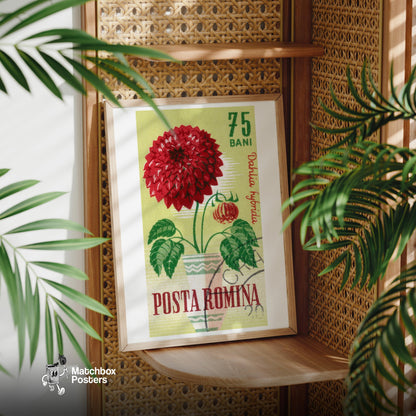 Red Dahlia Flower - vintage matchbox label print - office wall