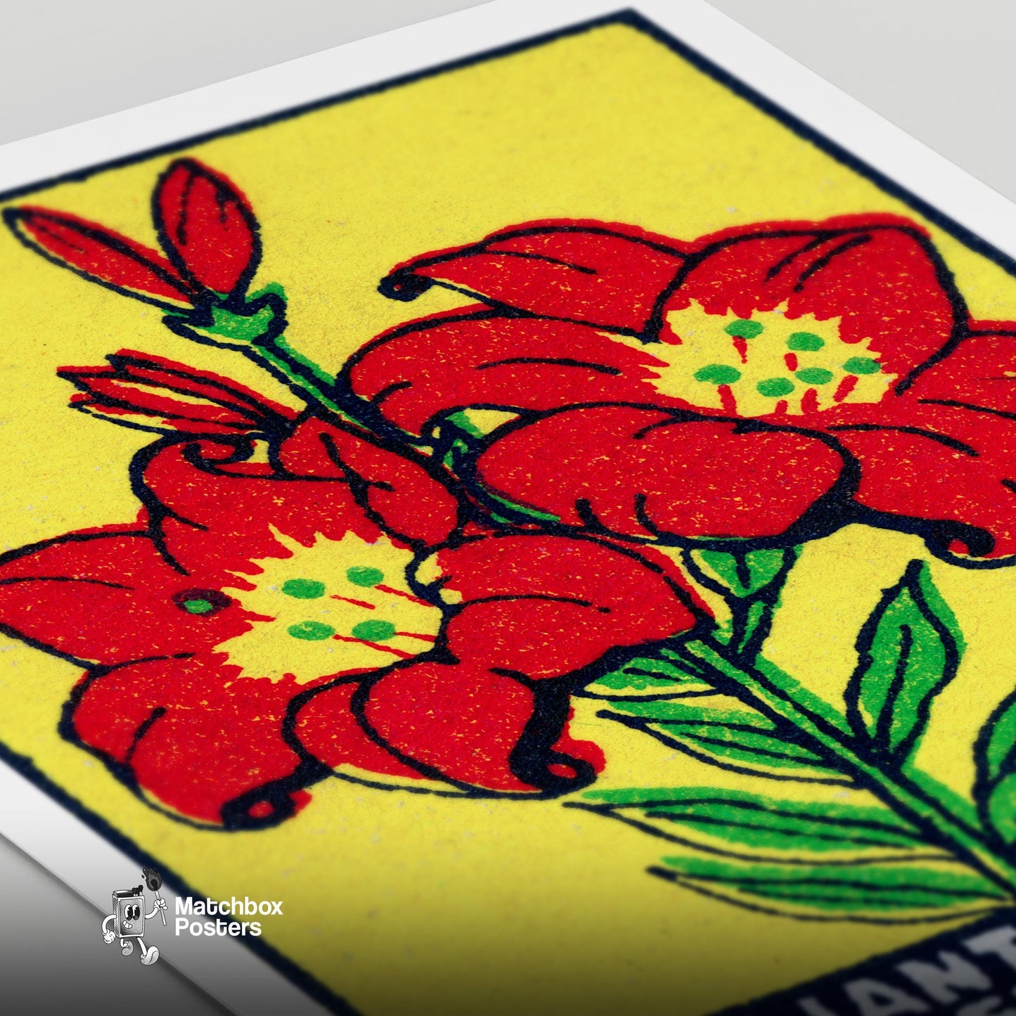 Red Lily - vintage matchbox label print - close-up detail