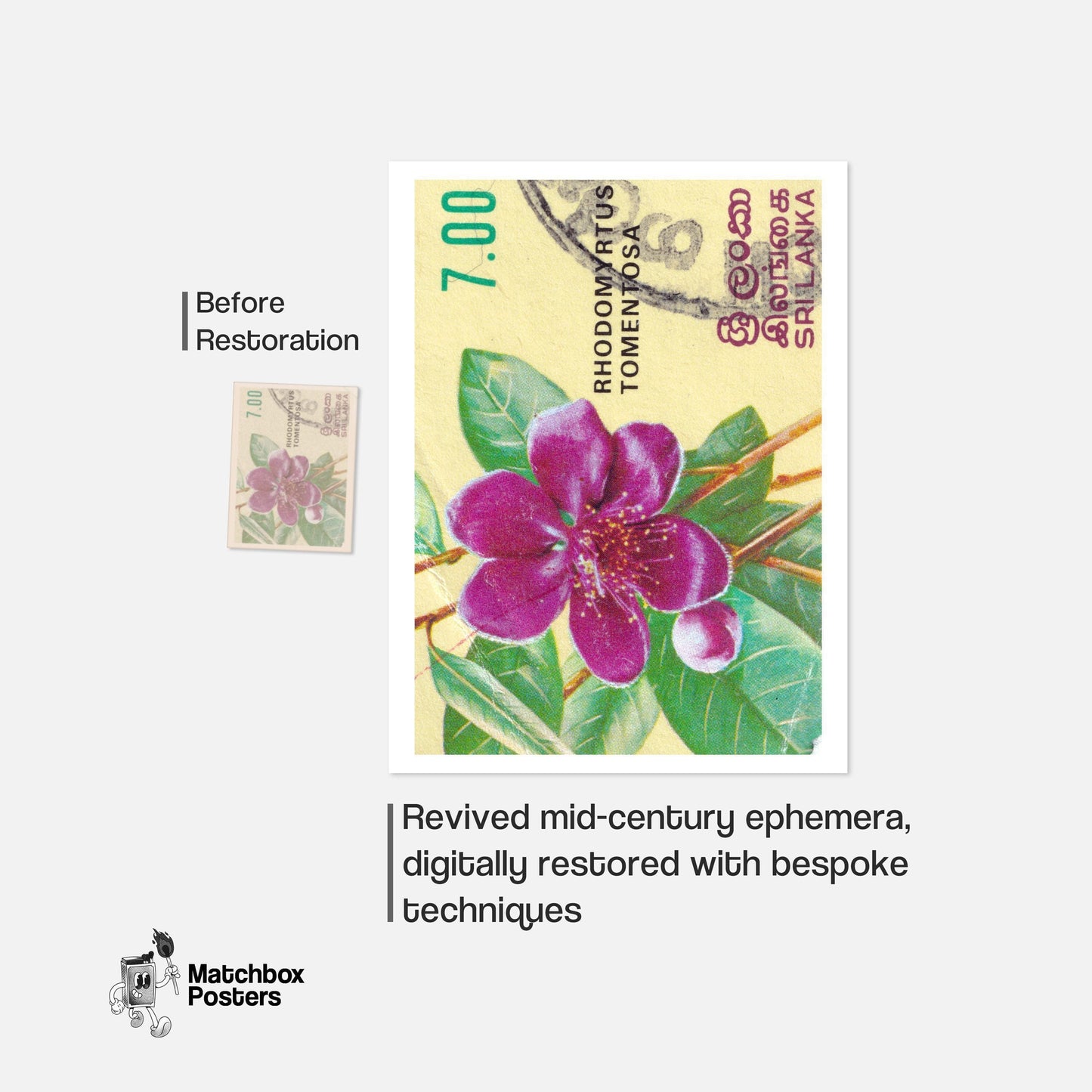 Purple Flower - vintage matchbox label print - framed wall art preview
