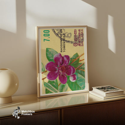 Purple Flower - vintage matchbox label print - size comparison