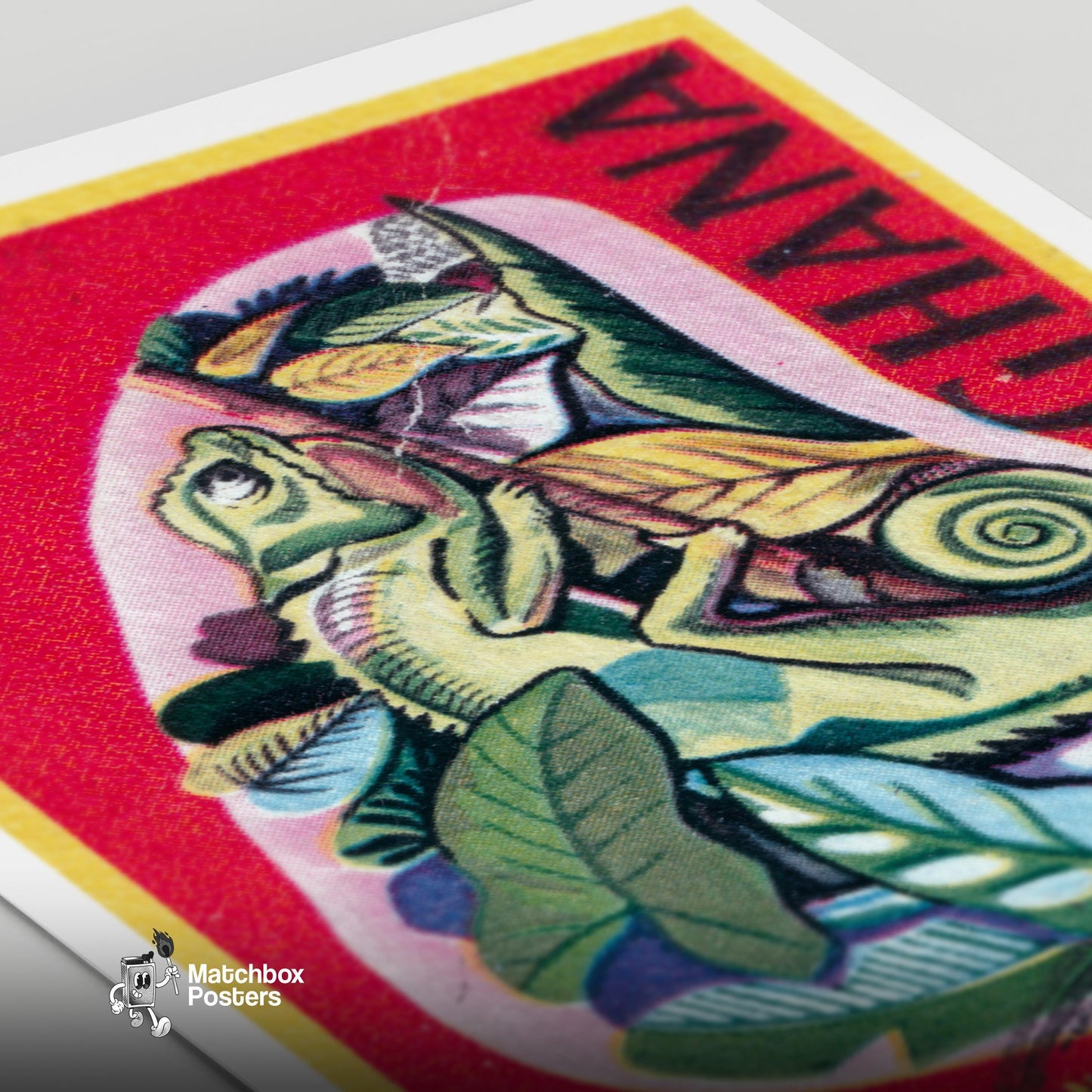 Chameleon - vintage matchbox label print - close-up detail