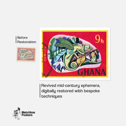 Chameleon - vintage matchbox label print - framed wall art preview