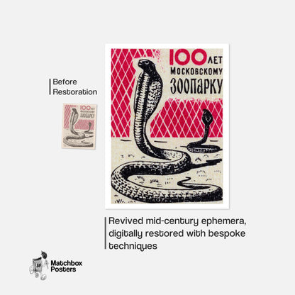 Cobra Snakes - vintage matchbox label print - framed wall art preview